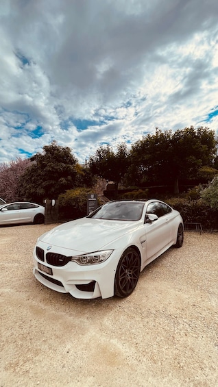 Picture 35 for Activity From Adelaide: McLaren Vale Winery Tour via Hahndorf