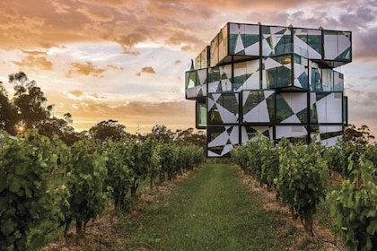 From Adelaide: McLaren Vale Winery Tour