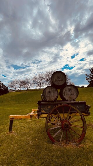 Picture 37 for Activity From Adelaide: McLaren Vale Winery Tour via Hahndorf