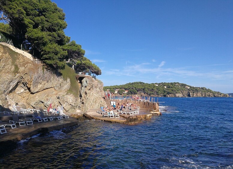 Picture 5 for Activity Marseille: Day Boat Ride in the Calanques with Wine Tasting