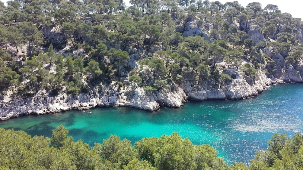 Picture 3 for Activity Marseille: Day Boat Ride in the Calanques with Wine Tasting