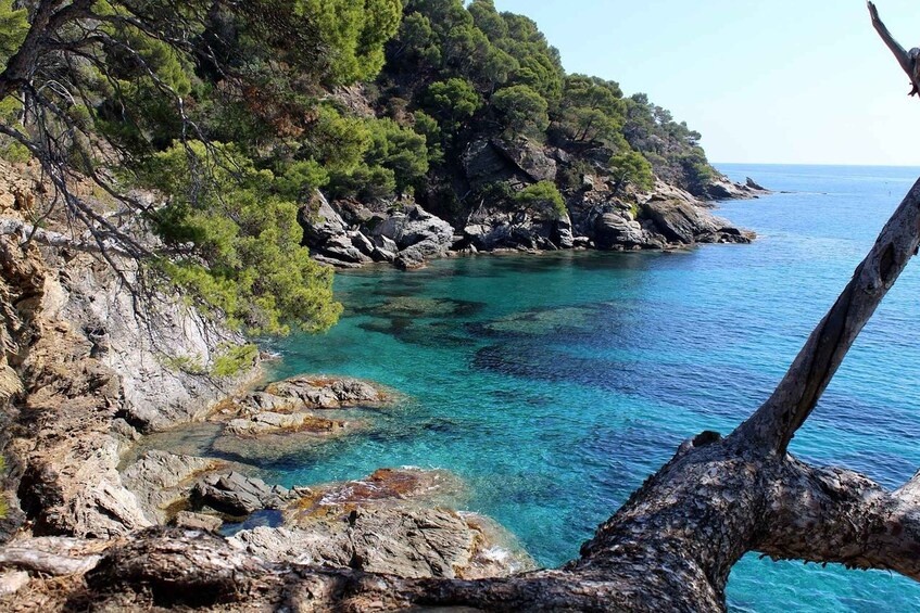 Picture 2 for Activity Marseille: Day Boat Ride in the Calanques with Wine Tasting