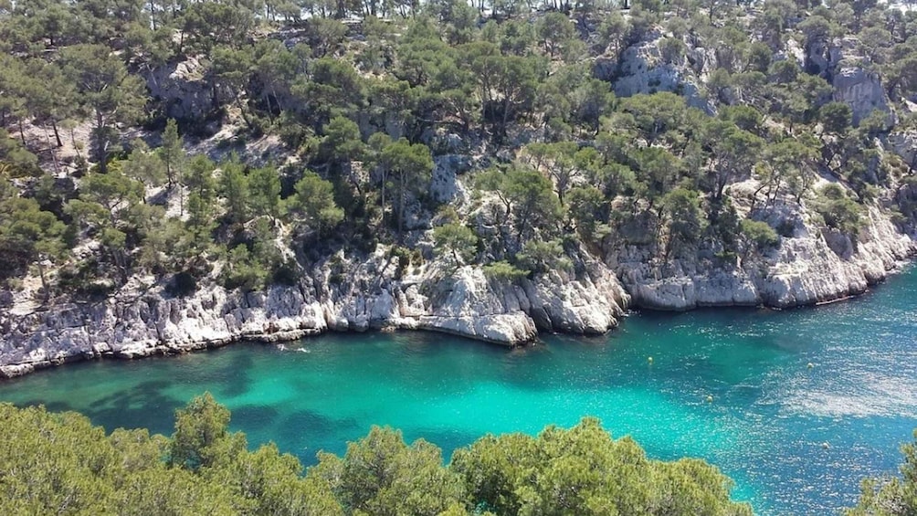 Picture 2 for Activity Marseille: Day Boat Ride in the Calanques with Wine Tasting