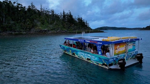 Playa de Airlie: Excursión en barco con fondo de cristal