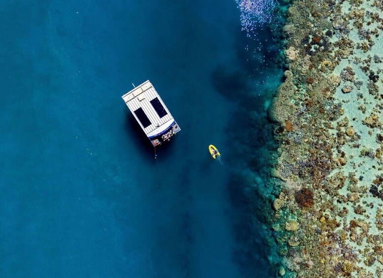 Picture 20 for Activity Airlie Beach: Glass-Bottom Boat Tour