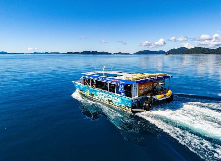 Picture 18 for Activity Airlie Beach: Glass-Bottom Boat Tour