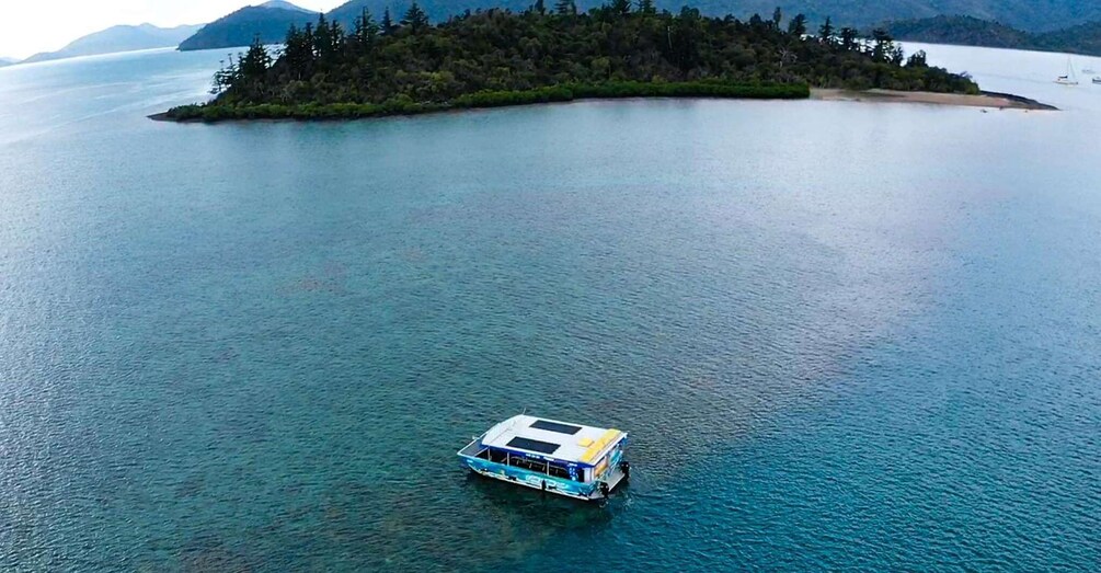 Picture 4 for Activity Airlie Beach: Glass-Bottom Boat Tour