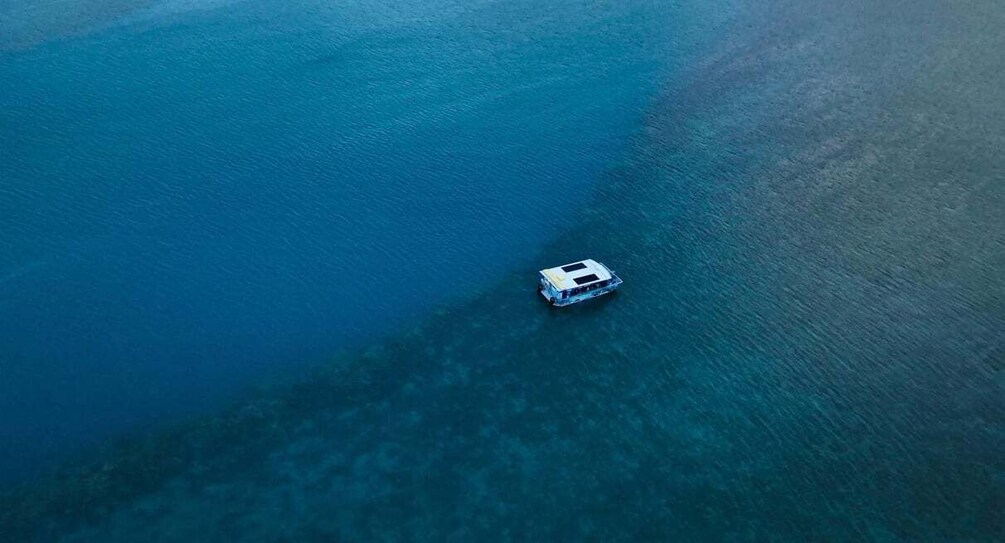 Picture 6 for Activity Airlie Beach: Glass-Bottom Boat Tour