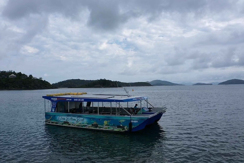 Picture 5 for Activity Airlie Beach: Glass-Bottom Boat Tour