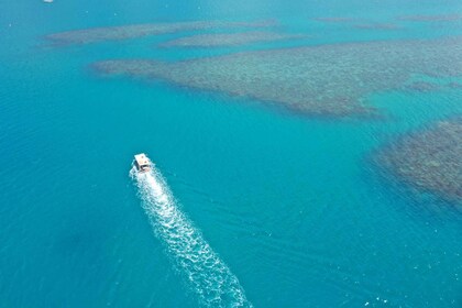 Playa de Airlie: Excursión en barco con fondo de cristal