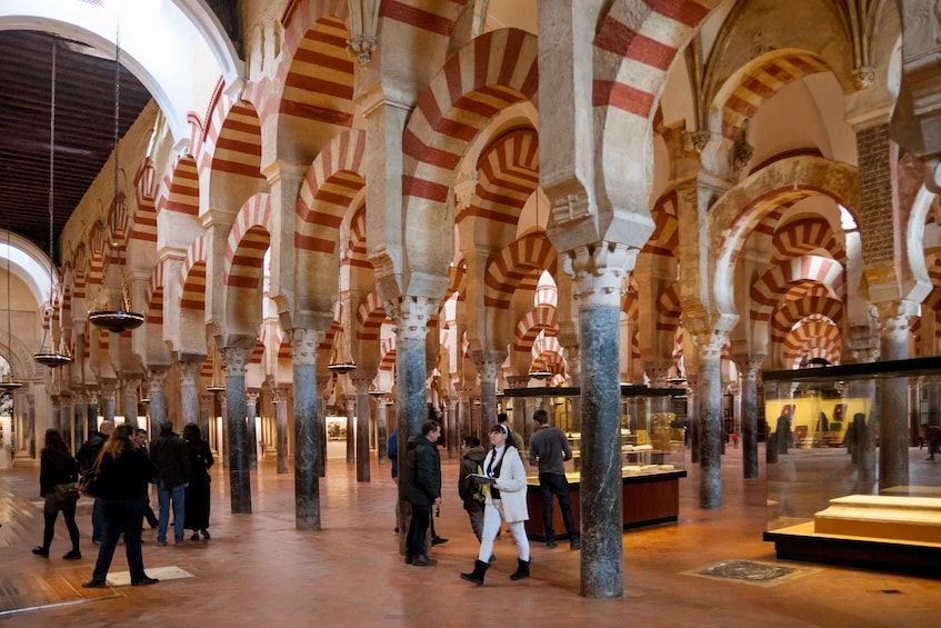 Picture 11 for Activity Córdoba: Skip-the-Line Great Mosque-Cathedral History Tour