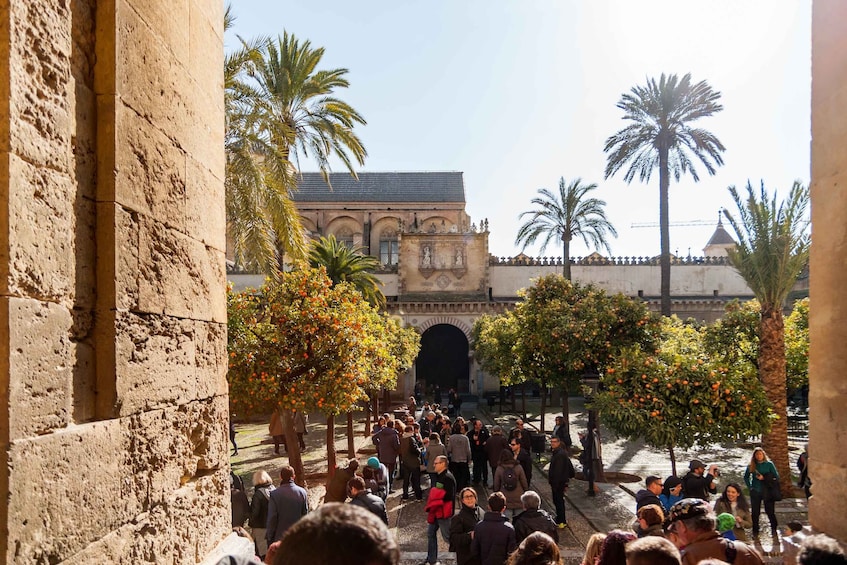 Picture 1 for Activity Córdoba: Skip-the-Line Great Mosque-Cathedral History Tour