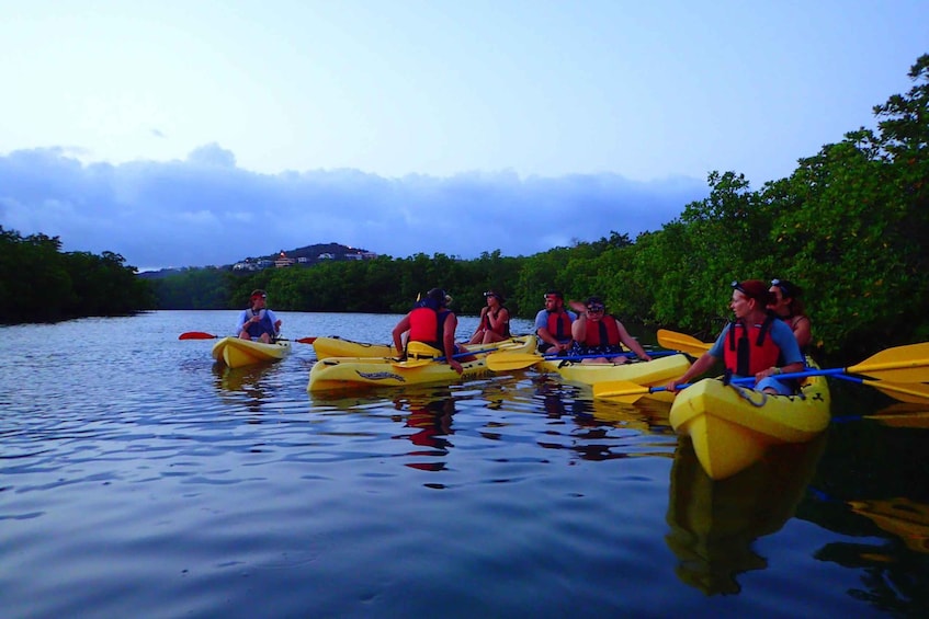 Picture 3 for Activity St. Thomas: Night Kayak in the Lagoon