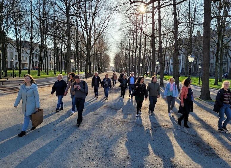 Picture 5 for Activity The Hague: City Center Walking Tour