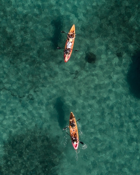 Picture 2 for Activity Manly: 4-Hour Double Kayak Hire for 2 People