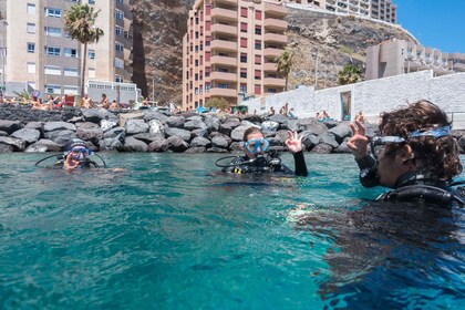 Santa Cruz de Tenerife: PADI introduktionsdykning