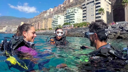 Santa Cruz de Tenerife: PADI Schnuppertauchen
