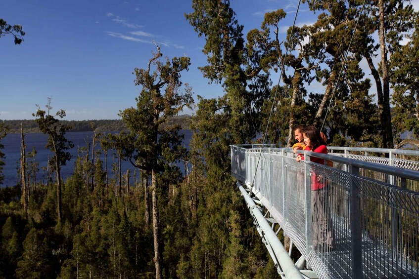 Picture 2 for Activity Greymouth: Full-Day Best Of The West Tour