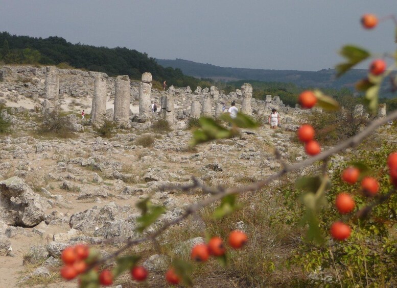 Picture 6 for Activity Varna: Guided VIP Tour