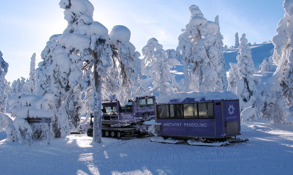 Picture 3 for Activity Jewels Of Lapland: Visit to Amethyst Mine in Luosto