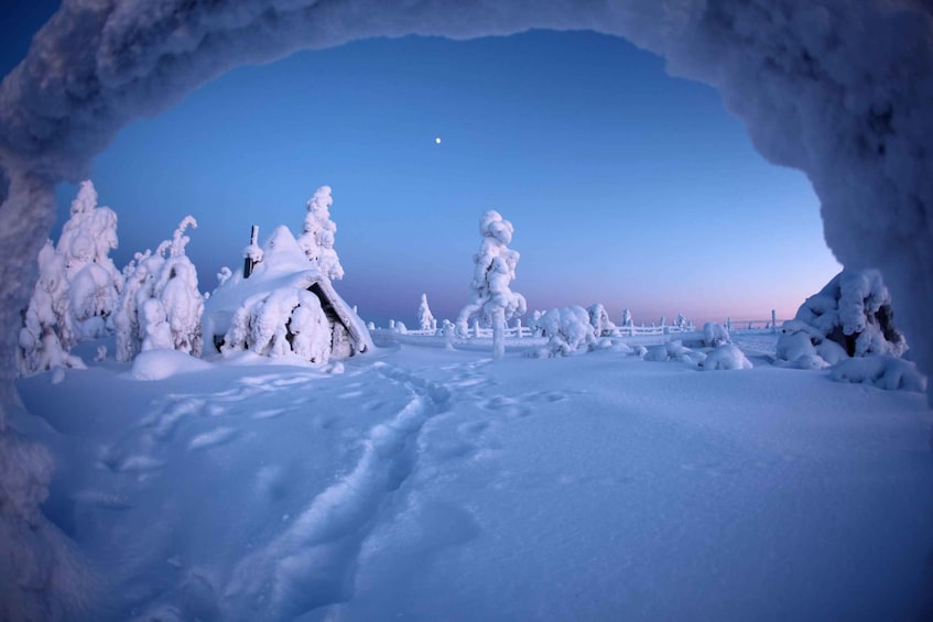 Jewels Of Lapland: Visit to Amethyst Mine in Luosto