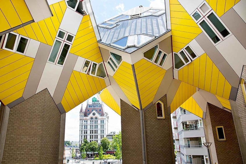 Picture 1 for Activity Rotterdam: Markthal Tour, Meet & Taste, and Het Witte Huis