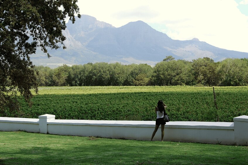 Picture 1 for Activity Cape Town: Full-Day Winelands Tour with Wine Tastings & Food