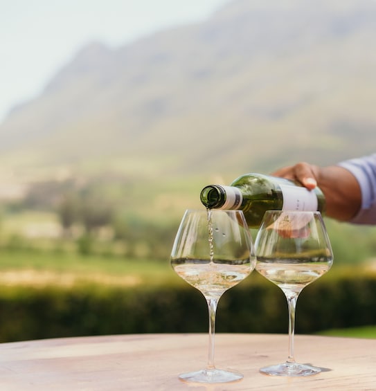 Picture 10 for Activity Cape Town: Full-Day Winelands Tour with Wine Tastings & Food