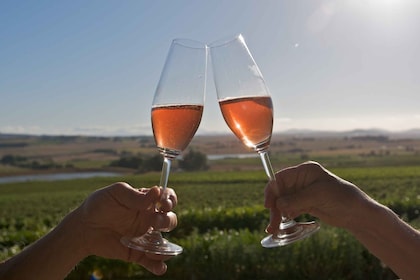 Cape Town Tur Sehari Penuh di Winelands dengan Mencicipi Anggur dan Makanan