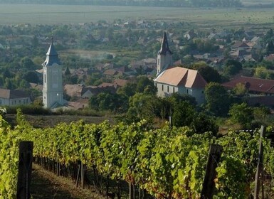 Excursión privada de un día a Tokaj y Sárospatak desde Budapest