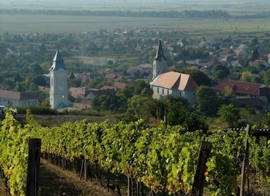 Excursión privada de un día a Tokaj y Sárospatak desde Budapest