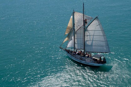 Airlie Beach: Whitehaven Tagessegeln mit Schnorcheln