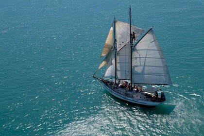 Airlie Beach: crucero de un día en Whitehaven con esnórquel y almuerzo