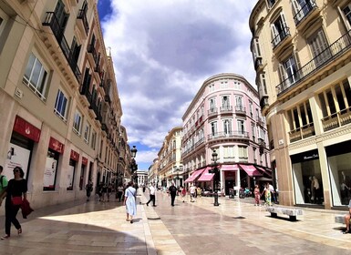 Malaga : Promenade privée excursion