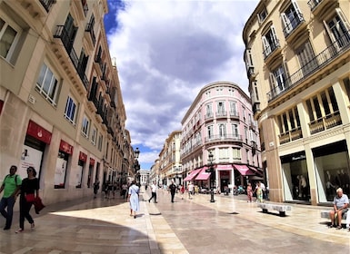 Malaga : Promenade privée excursion