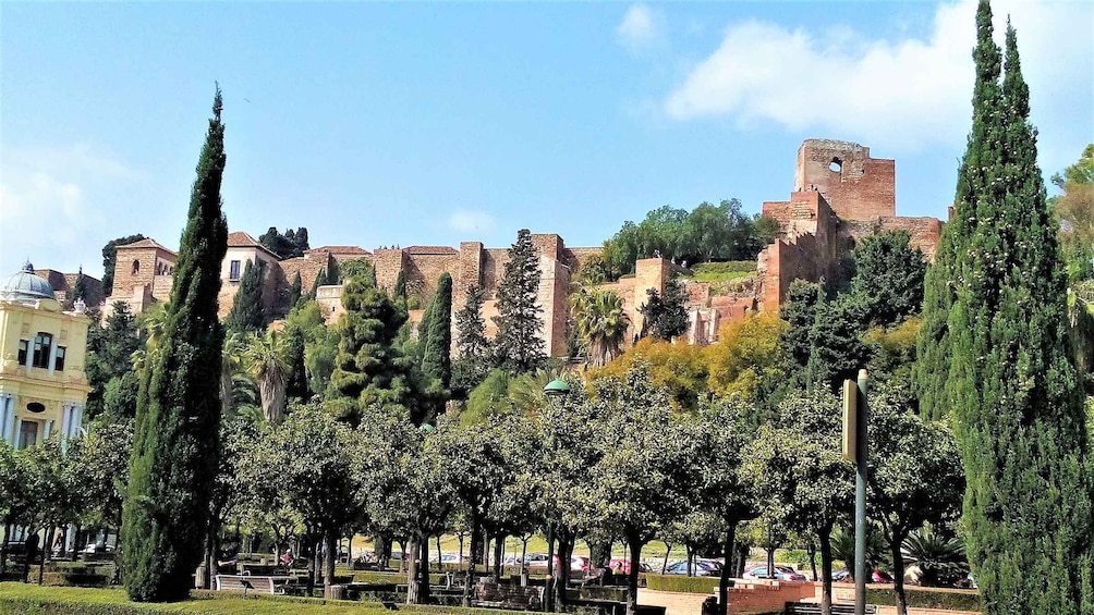 Picture 6 for Activity Malaga: Private walking tour