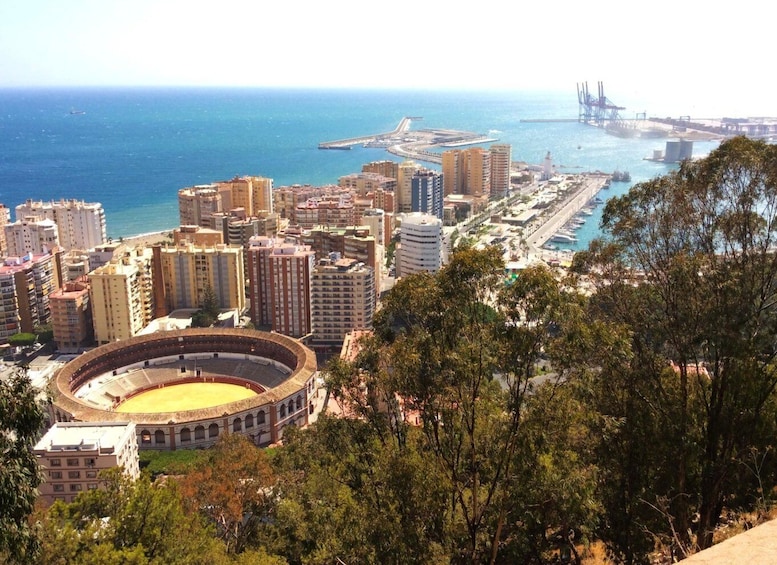 Picture 10 for Activity Malaga: 2-Hour Private Walking Tour