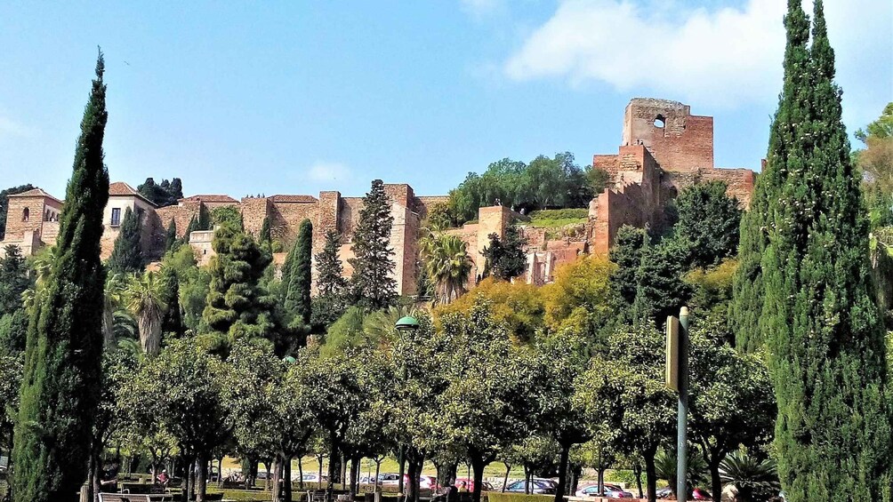 Picture 6 for Activity Malaga: Private walking tour