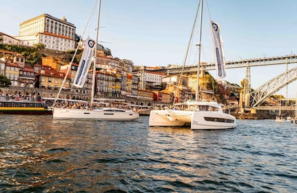 Porto: Daytime or Sunset Douro River Sightseeing Cruise