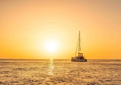ปอร์โต: ล่องเรือชมแม่น้ำโดรูในเวลากลางวันหรือพระอาทิตย์ตก