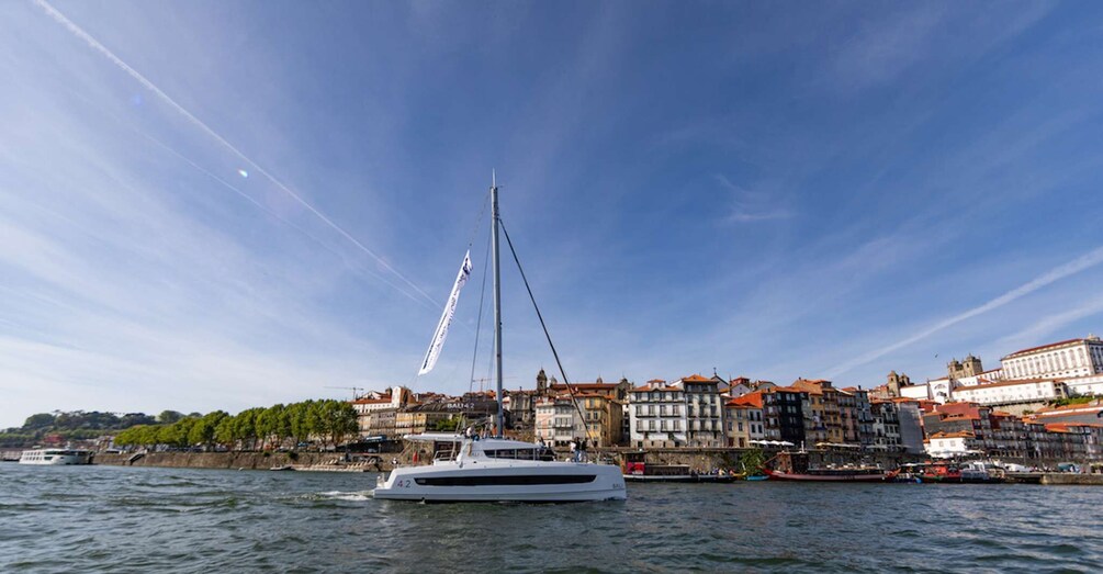 Picture 21 for Activity Porto: Daytime or Sunset Douro River Sightseeing Cruise