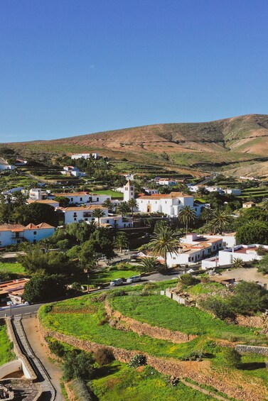 Picture 22 for Activity Fuerteventura: Island Tour by Minibus
