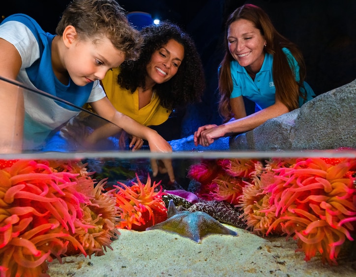 2-Attraction Pass: SEA LIFE Aquarium & Madame Tussauds Wax Attraction