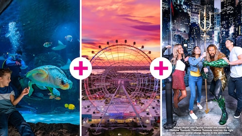 Parque Icono: Acuario SEA LIFE, Madame Tussauds o el Orlando Eye Opciones