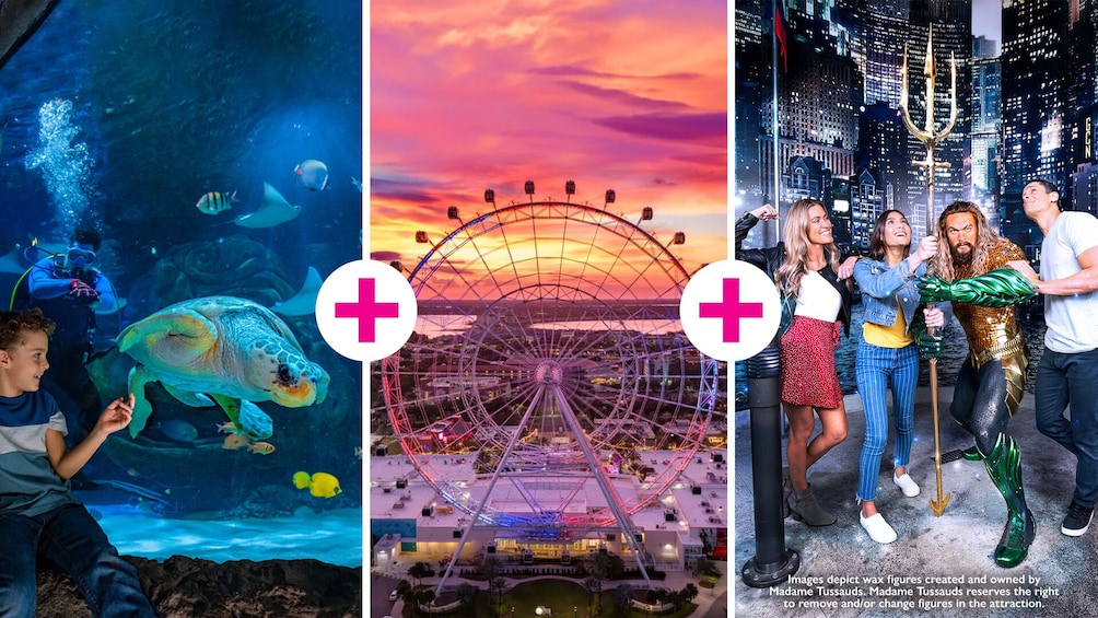 Icon Park: SEA LIFE Aquarium, Madame Tussauds or The Orlando Eye Options