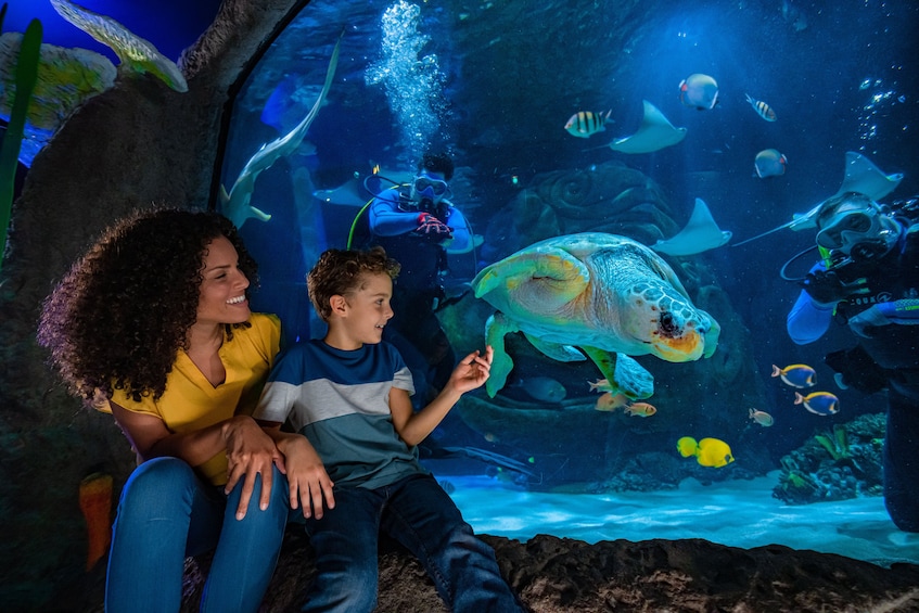 2-Attraction Pass: SEA LIFE Aquarium & Madame Tussauds Wax Attraction