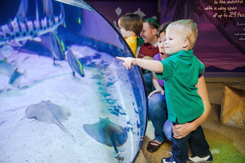 2-Attraction Pass: SEA LIFE Aquarium & Madame Tussauds Wax Attraction