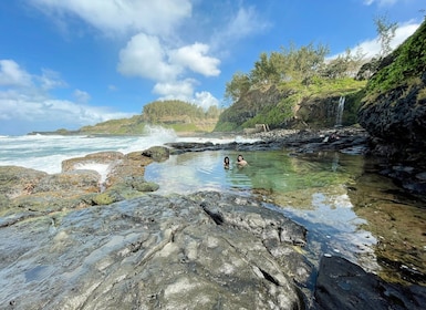 Mauritius: The Wild South Hiking Tour with a Guide