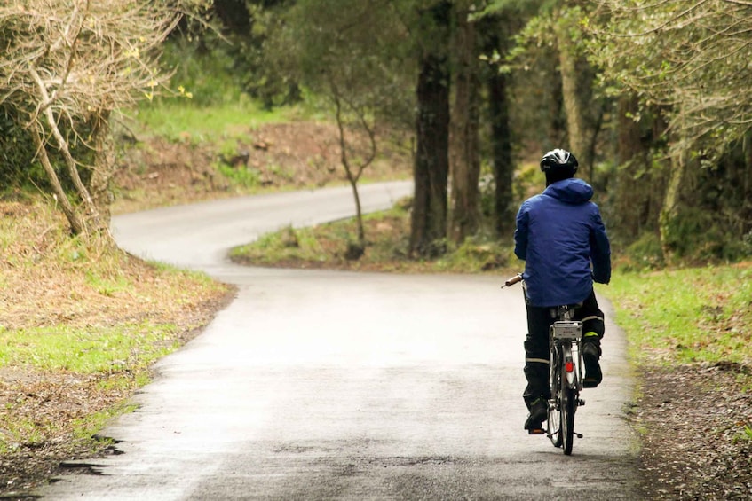 Picture 6 for Activity From Lisbon: Sintra to Cascais Full-Day Guided E-Bike Tour