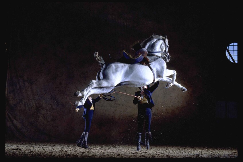 Picture 2 for Activity Jerez de la Frontera: How the Andalusian Horses Dance